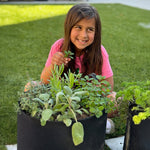 Patio Herb Garden