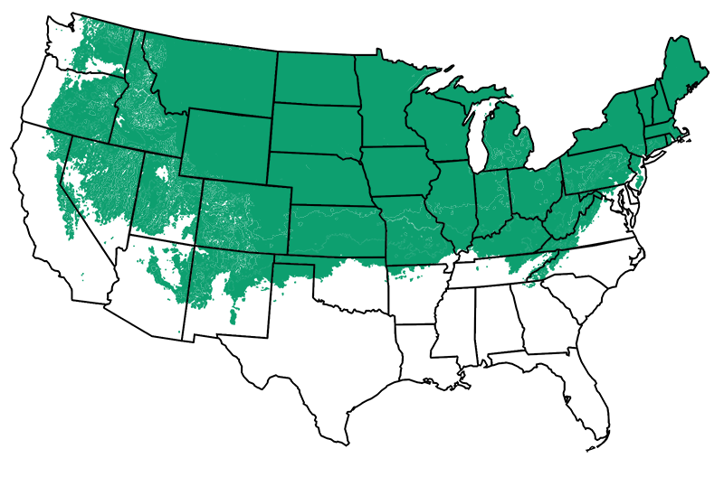 2-6 outdoors
        
     Map