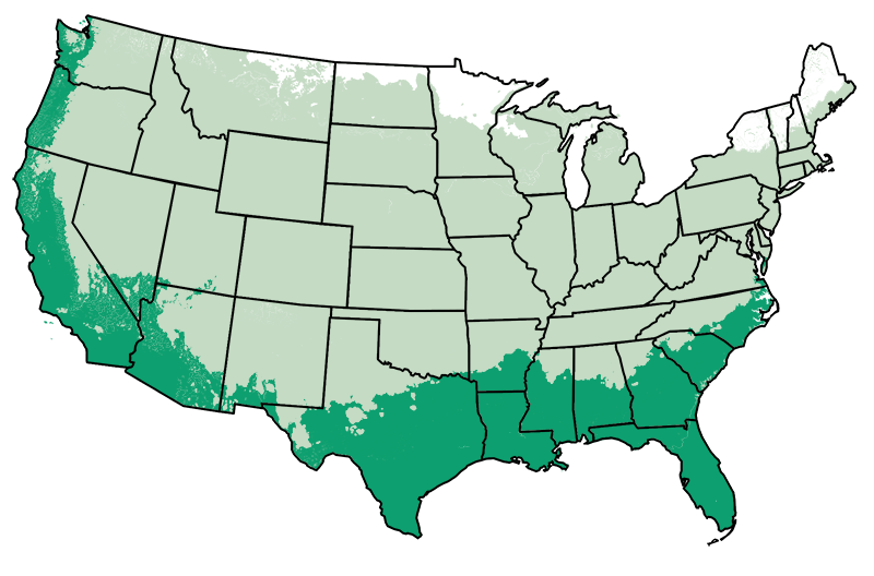 4-11 patio
/
8-11 outdoors
Map