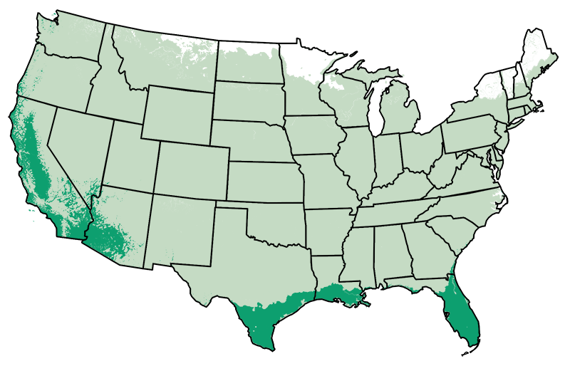 4-11 patio
/
9-11 outdoors
Map
