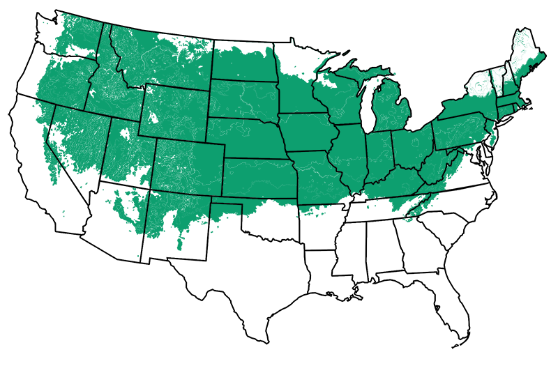 4-6 outdoors
        
     Map