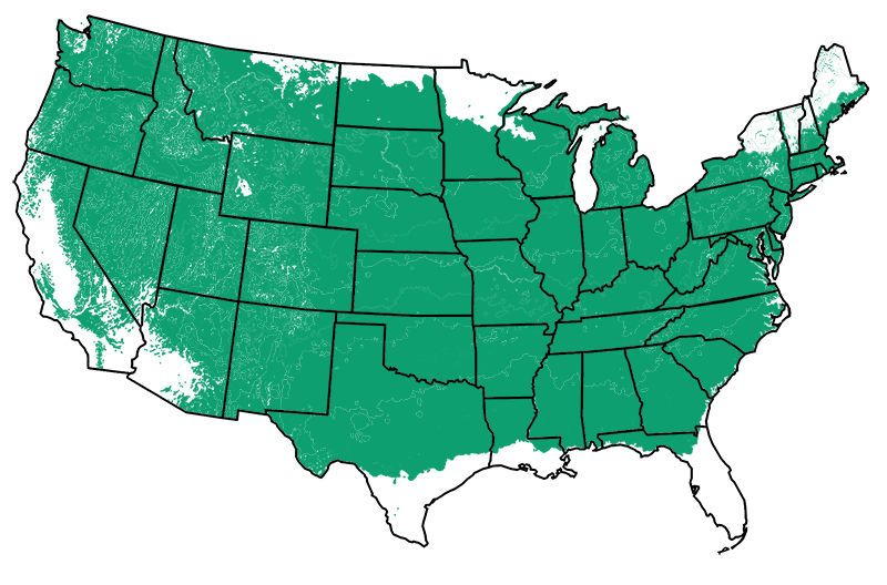 4-8 outdoors
Map