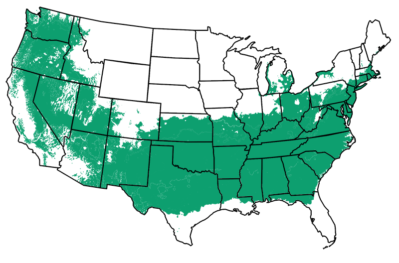 6-8 outdoors
        
     Map