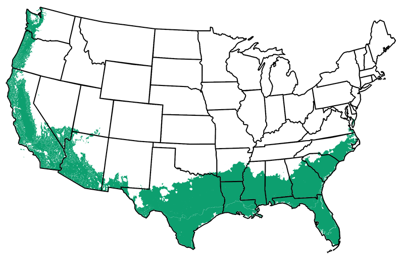 8-10 outdoors
Map