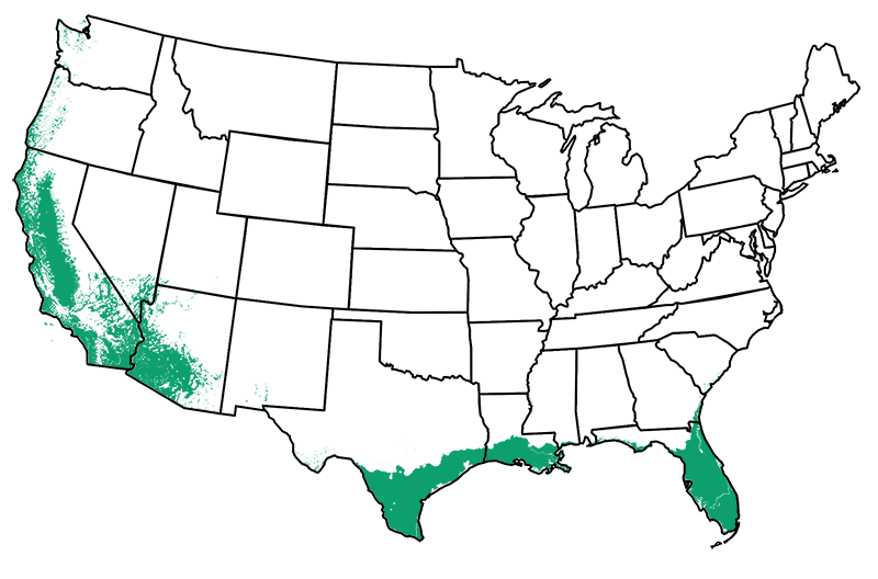 9-11 outdoors
Map