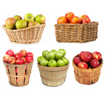 5-in-1 Apple Tree