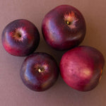 In appropriate conditions these apples can be stored for 6 months and darken over time.