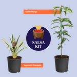 Salsa Kit