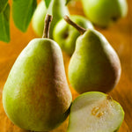 Bartlett pears are very aromatic.