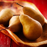 Bosc Pear Tree