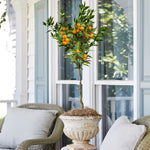 Great for patio containers to be brought inside in winter.