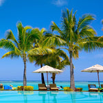 Get the tropical look planting these poolside.
