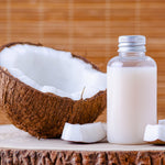 Coconut Palm Tree