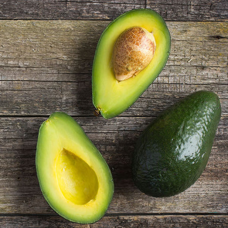 Cold Hardy Avocado Tree