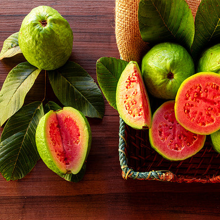 Guava Tree 'Ruby Supreme'