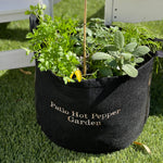 Patio Hot Pepper Garden