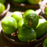 June Plum Tree
