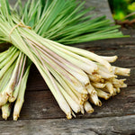 Lemon Grass