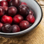 Juicy and sweet plums from this heavy bearer self-pollinator.