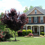 The Newport is a dramatic accent to your landscape.