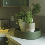 Pebble Plant Caddy