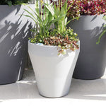 Self-Watering Rim Planter