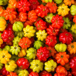 Star Cherry Tree
