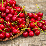 A heat tolerant sweet cherry.