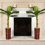 Great indoors when placed near a bright light source