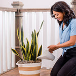 Watering Can