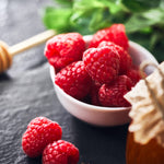 Willamette Red Raspberry Bush