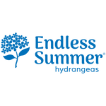 Endless Summer® The Original Reblooming Hydrangea