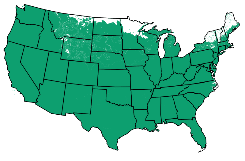 
        
        
        
            4-10 outdoors
        
     Map