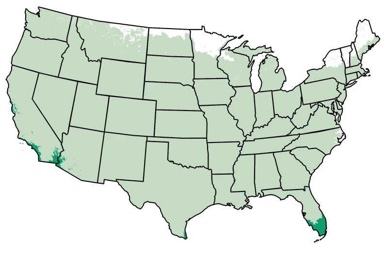 
        
            4-11 patio
        
         / 
        
            10-11 outdoors
        
     Map