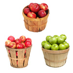 3 in 1 Apple Tree
