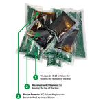 Avocado Tree Care Kit
