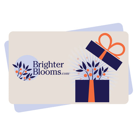 E-Gift Card