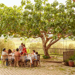 Grows to a large mature tree or can be pruned to any height.