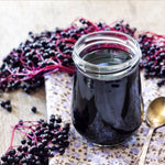 Elderberry Plant