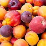 Multiple fruits on a single tree.