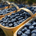 Free Blueberry Bush