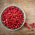 Lingonberry Plant