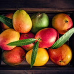 Mango Kit