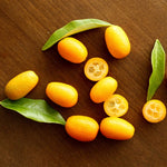 Nagami Kumquat Tree