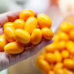 Nagami Kumquat Tree