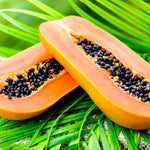 Papaya Tree