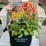 Patio Salad Garden