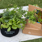 Patio Salad Garden