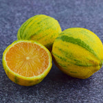 Sweeter than a regular lemon.