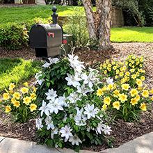 Blooming Mailbox Kit